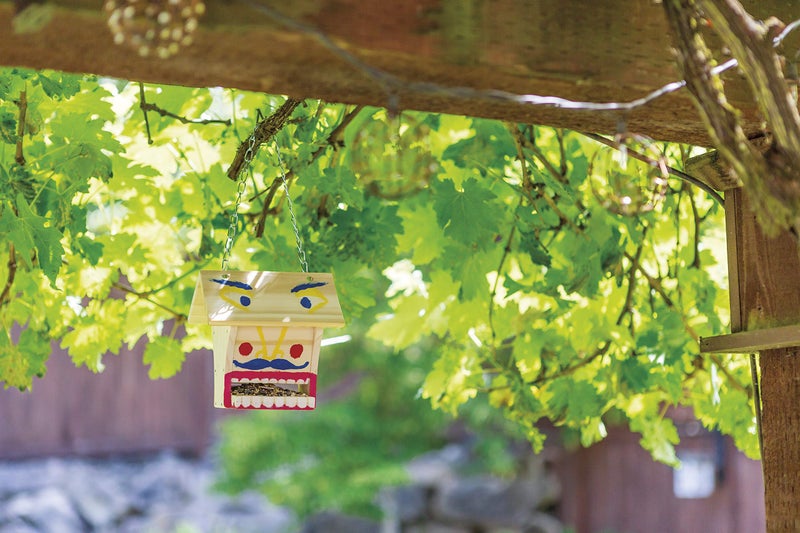 Toysmith Beetle & Bee Build A Bird Buffet, DIY Kids Art Craft Outdoor Bird Kit, Educational Kit for Kids - Image 5